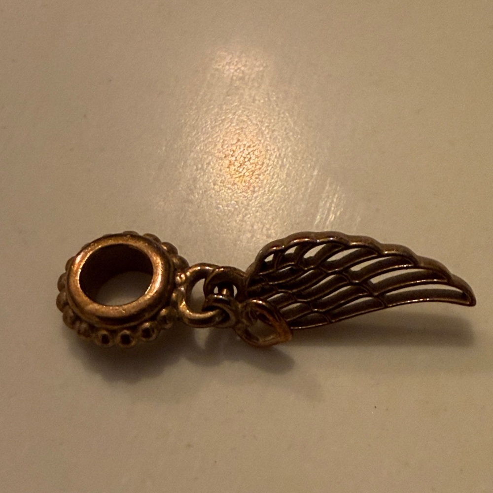 Pandora love and guidance charm